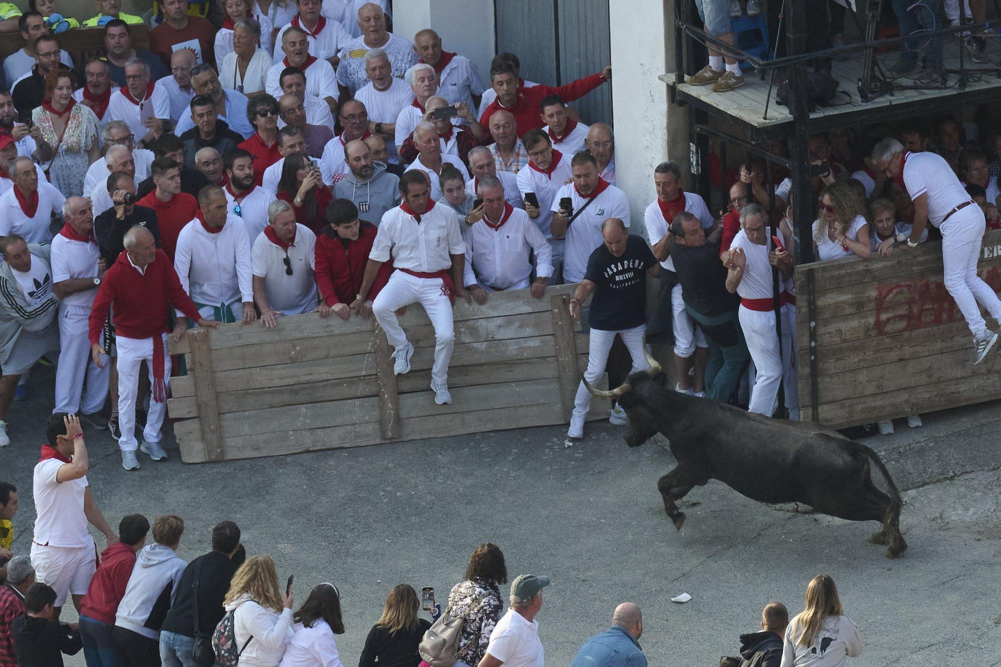 Fotos del último encierro del Pilón de Falces 2025