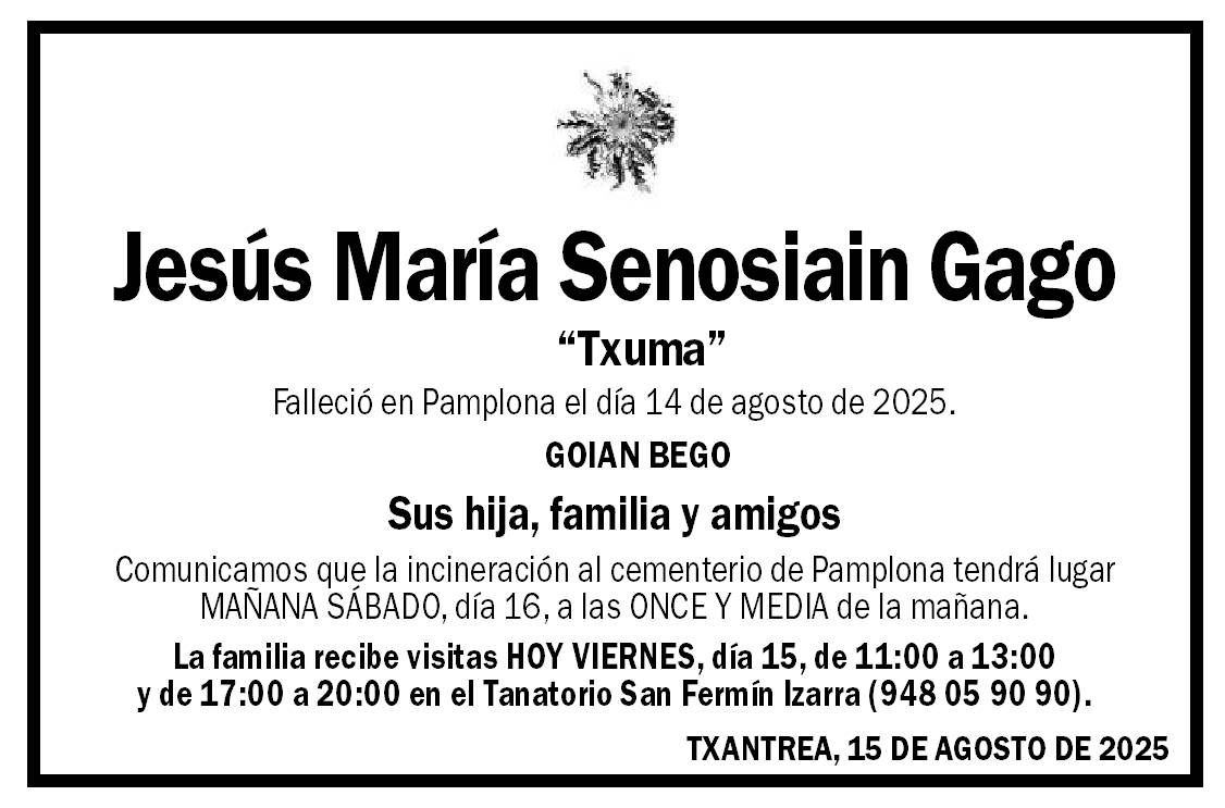 Jesús María Senosiain Gago