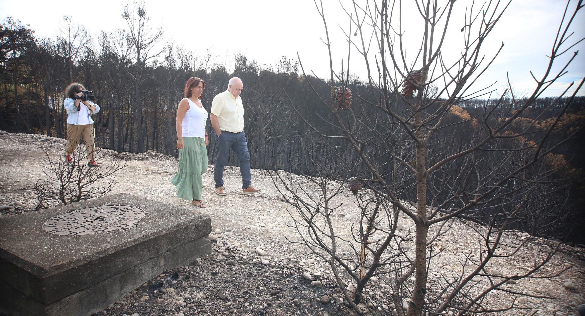 Así han quedado los montes afectados por el incendio de Carcastillo