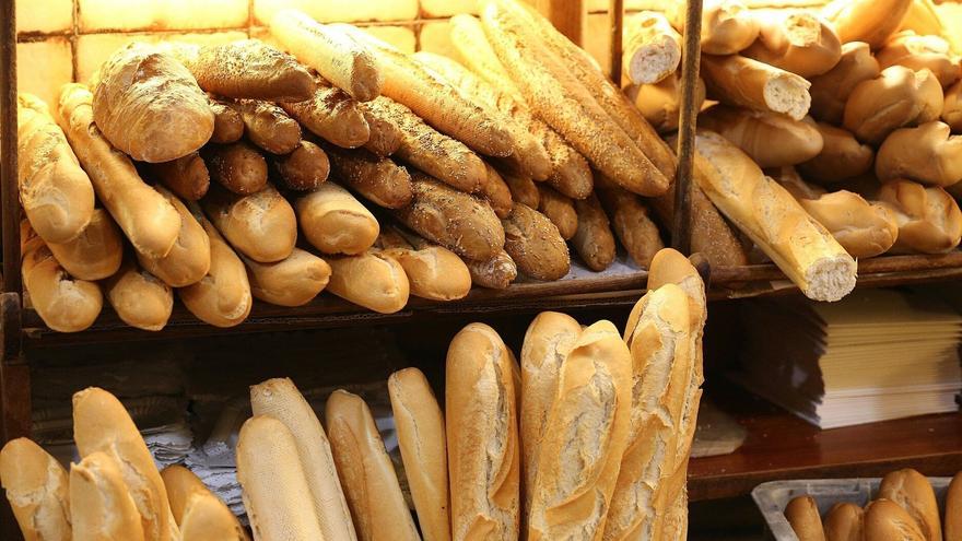 ¿Es bueno comer pan todos los días?