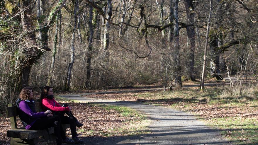 ‘Corredores verdes’ en los robledales de Ultzama y Basaburua contra el cambio climático