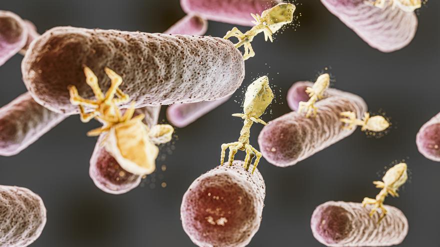 La Unión Europea alerta de un récord de infecciones por &#039;Listeria&#039;