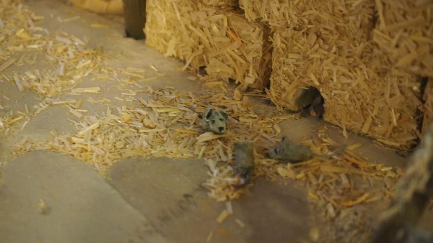 Un ratón, protagonista de la exposición de belenes en Baluarte