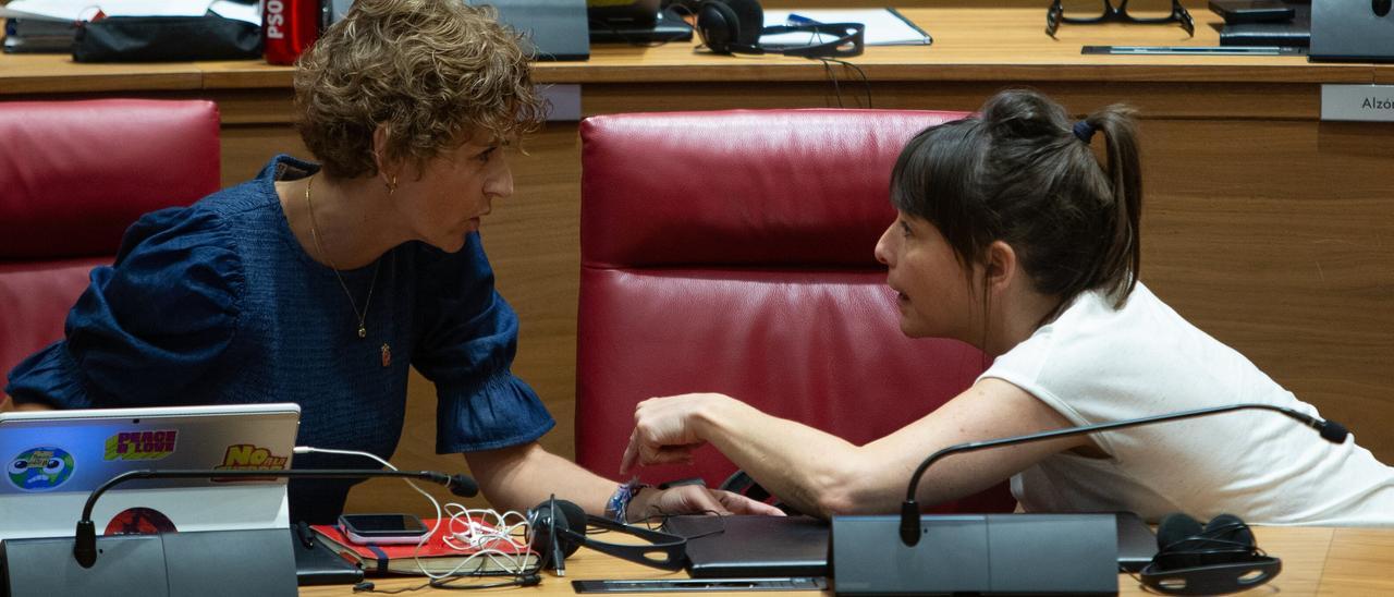 Fotos del pleno del Parlamento de Navarra del jueves 28 de mayo