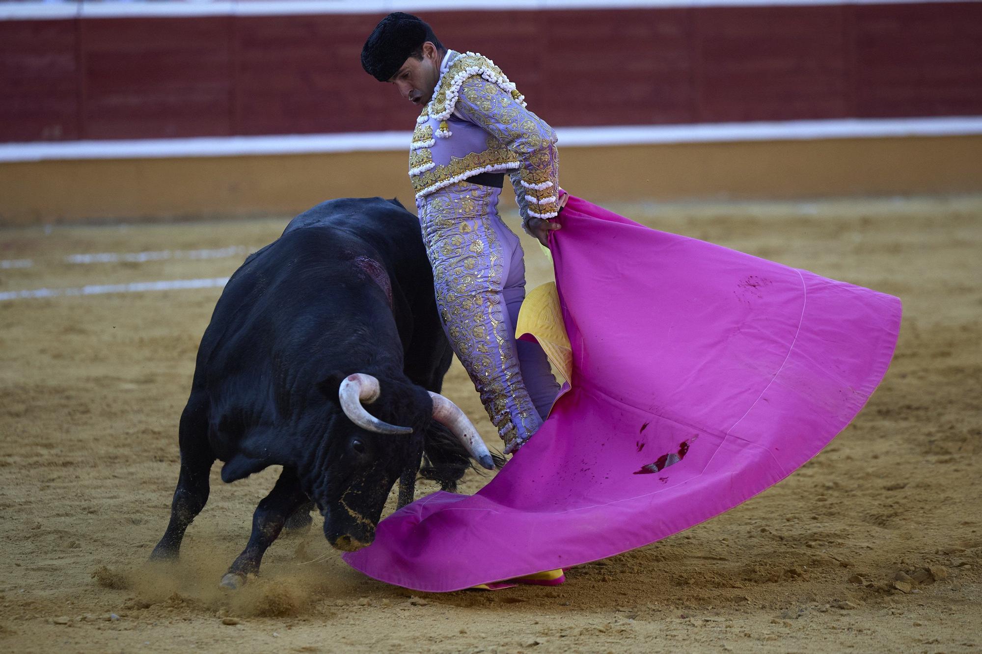 Fotos de la corrida de toros en Tudela con toros de Garzón Valdenebro