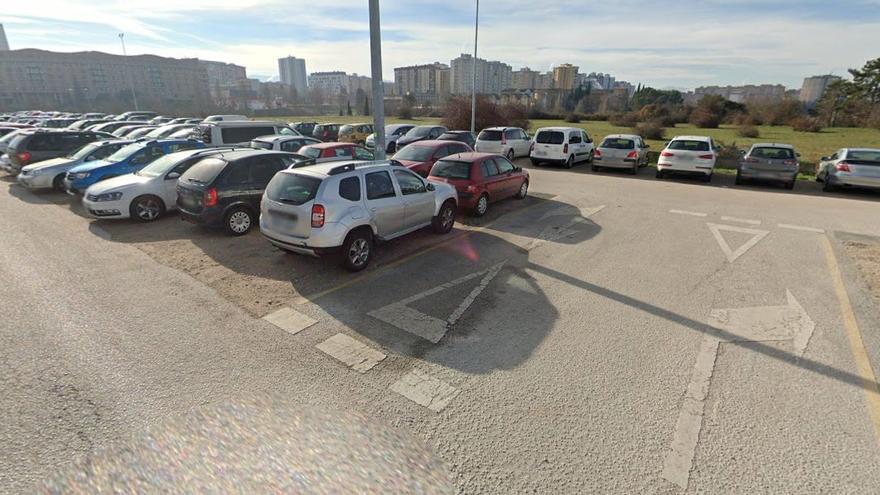 Reforestación en Pamplona: nuevos oasis verdes en Ezkaba y Mendebaldea