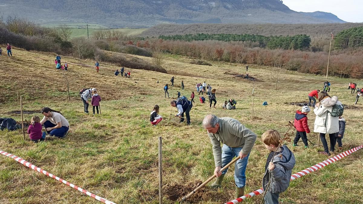 Numerosas familias planta árboles en el Oinez Basoa, en Arbizu.
