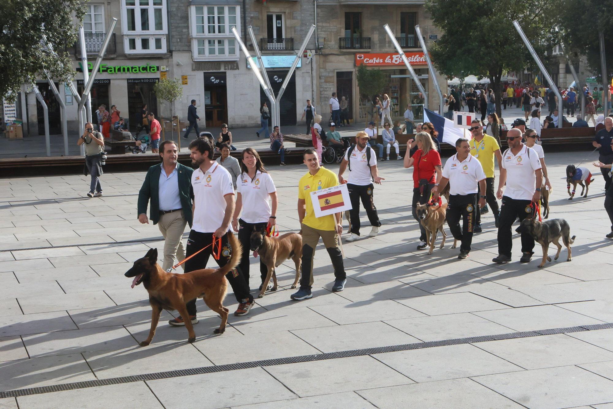 En imágenes: Perros de élite desfilan por Vitoria-Gasteiz por el 'Campeonato Mundial FCI-IGP'