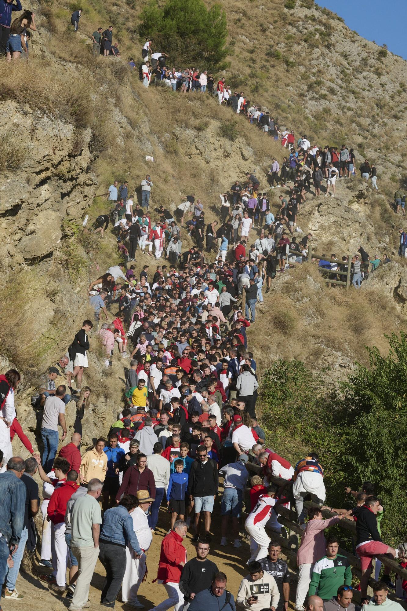 Fotos del penúltimo encierro del Pilón de Falces 2025