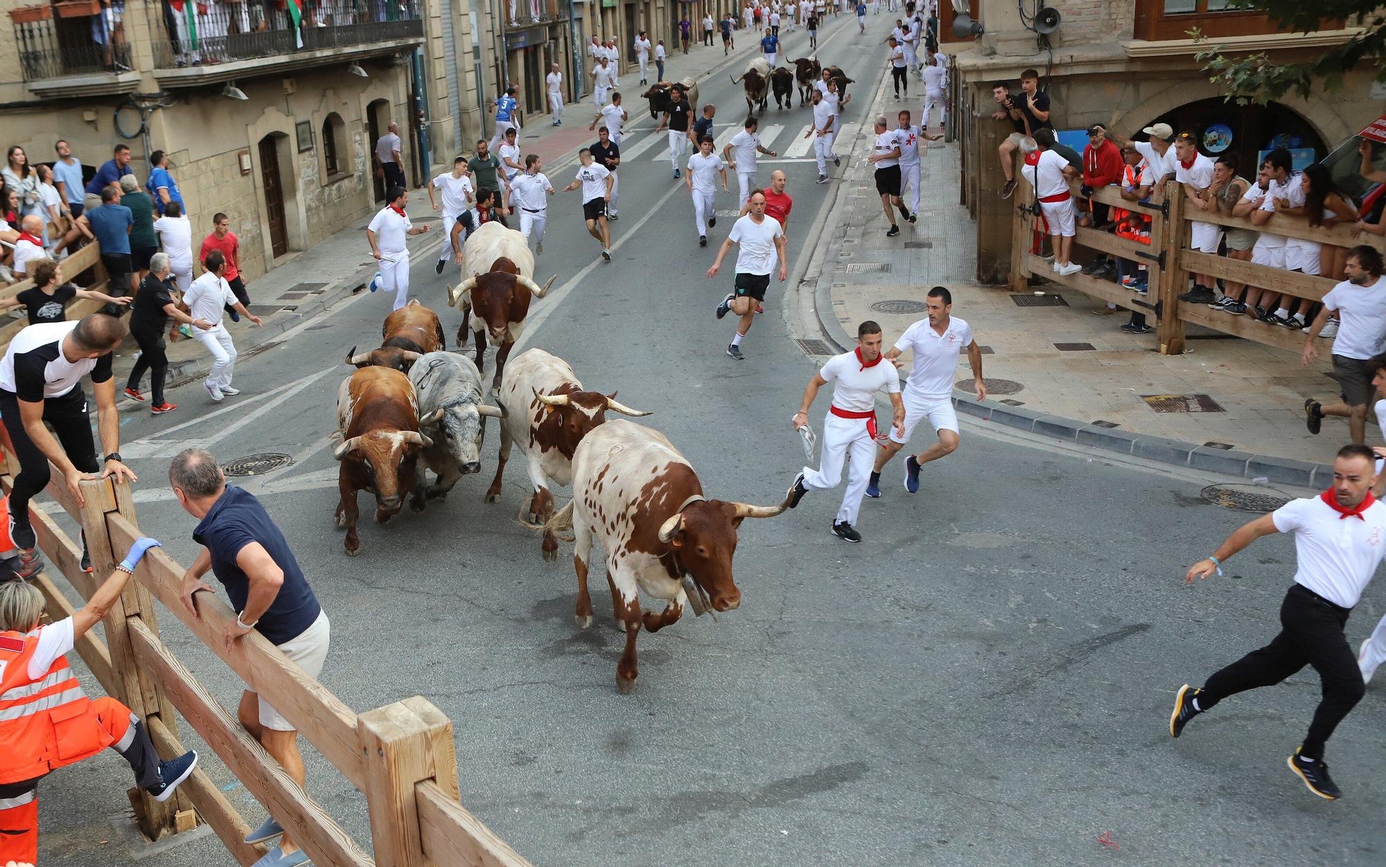 Fotos del tercer encierro de fiestas de Tafalla 2025