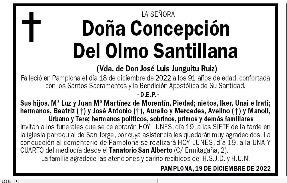 Concepción Del Olmo Santillana