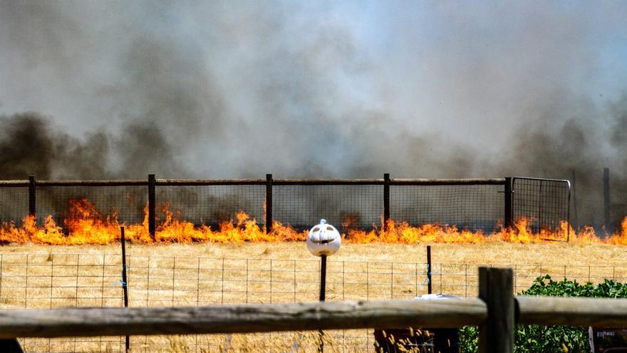 Tres desaparecidos y decenas de miles de personas sin electricidad por incendios forestales en Australia