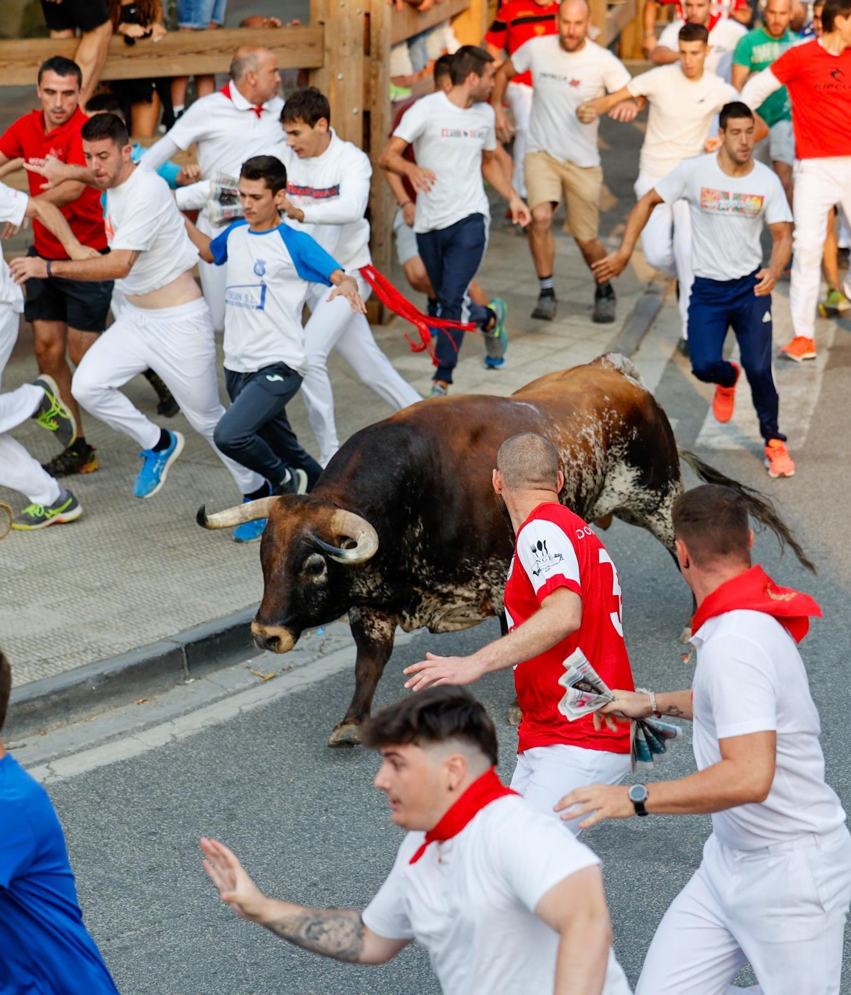 Fotos del tercer encierro de fiestas de Tafalla 2025