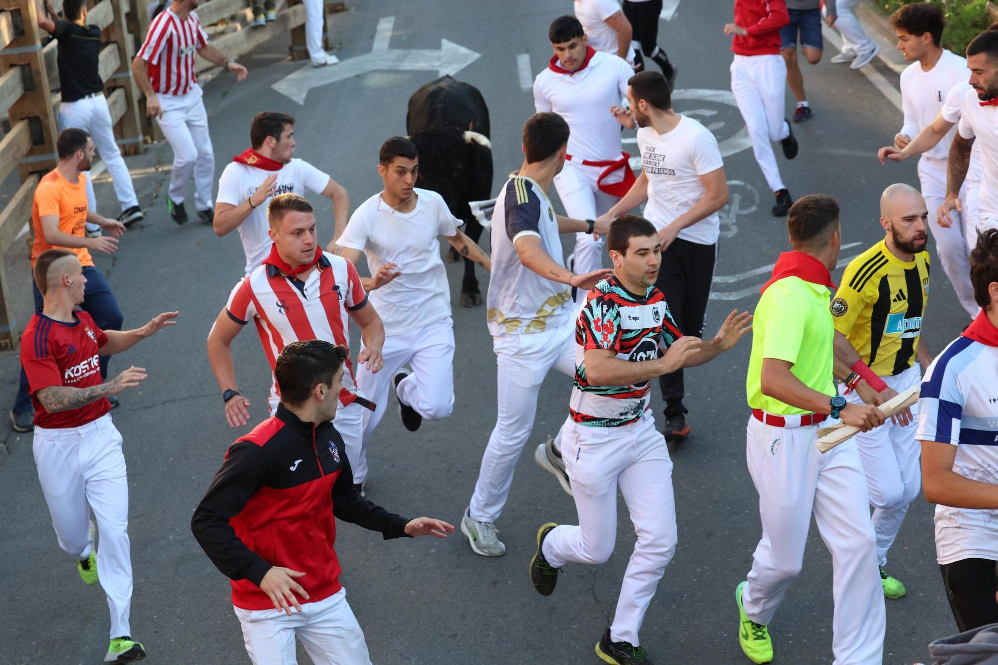 Fotos del quinto encierro de las fiestas de Tudela 2025