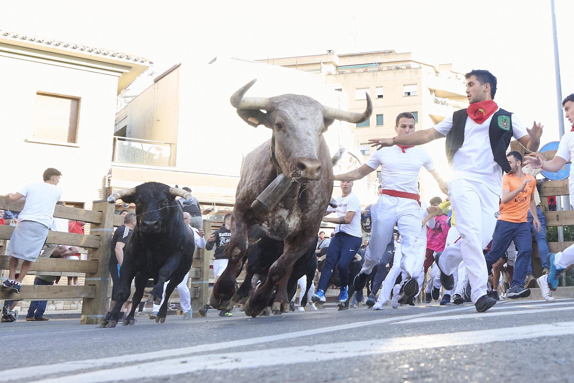 Fotos del tercer encierro de las fiestas de Tudela 2025