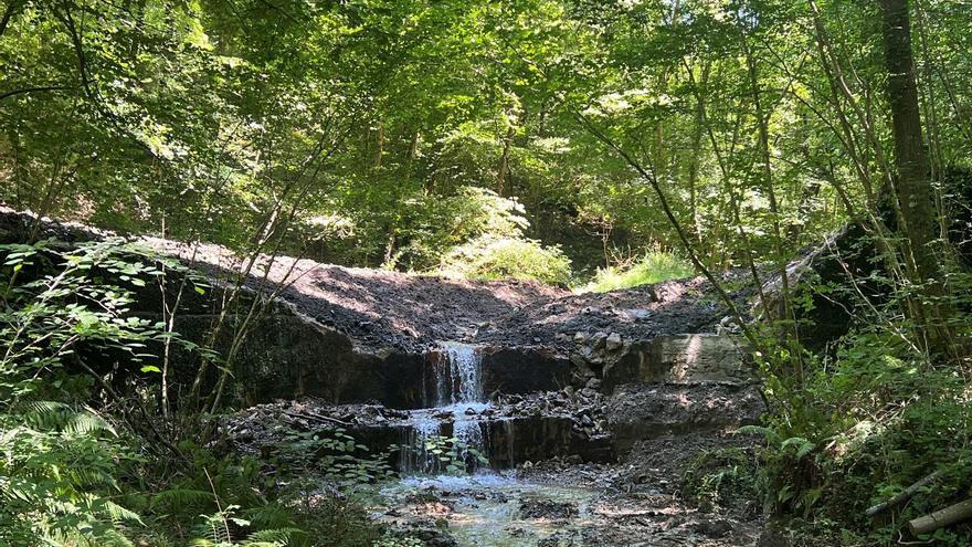 Restauración ecológica en Granada Erreka y el río Altzolarats, el corazón de Gipuzkoa