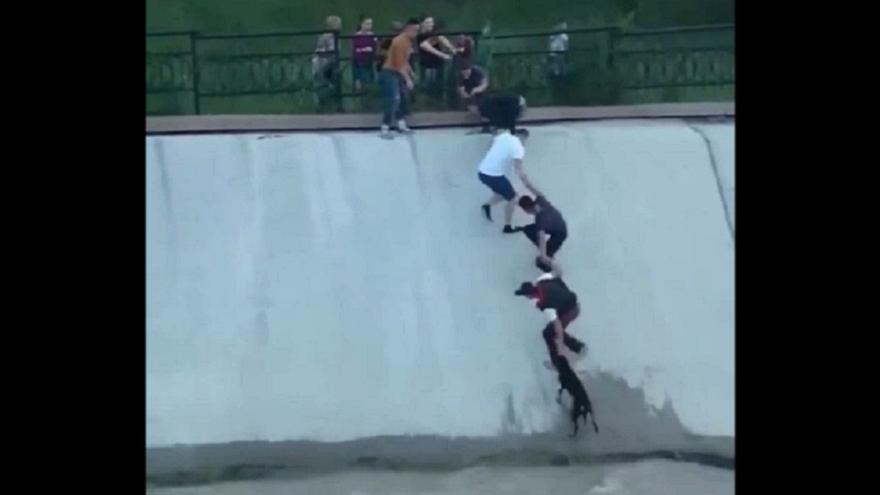 El rescate viral de un perro se convierte en estatua y conmueve a todo el mundo