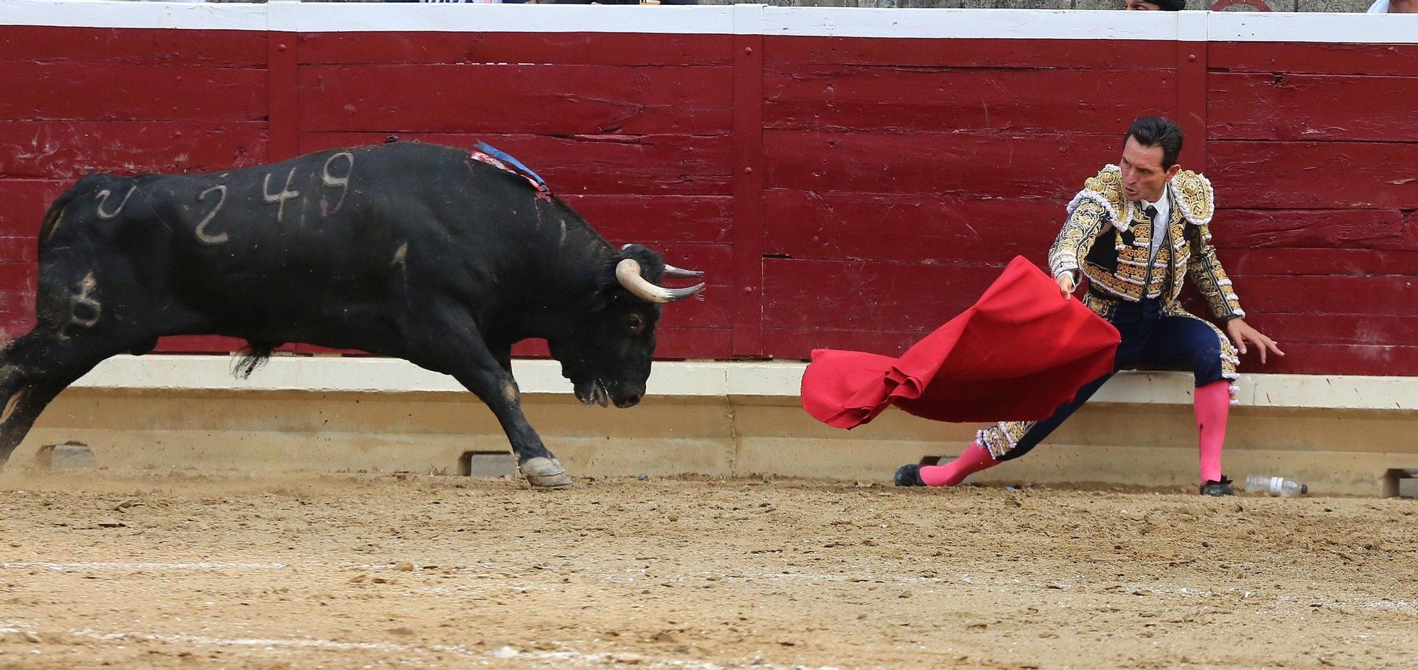 Fotos de la tercera corrida de toros de fiestas de Tafalla