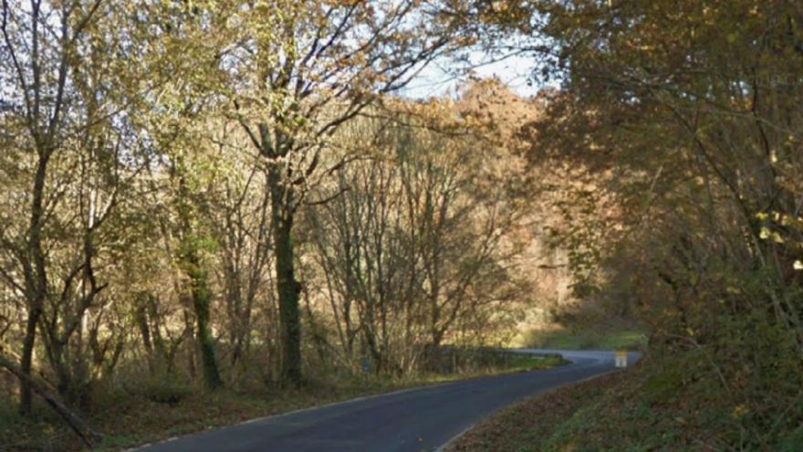 Tramo de la carretera NA-2540 en el que ha sucedido el accidente.