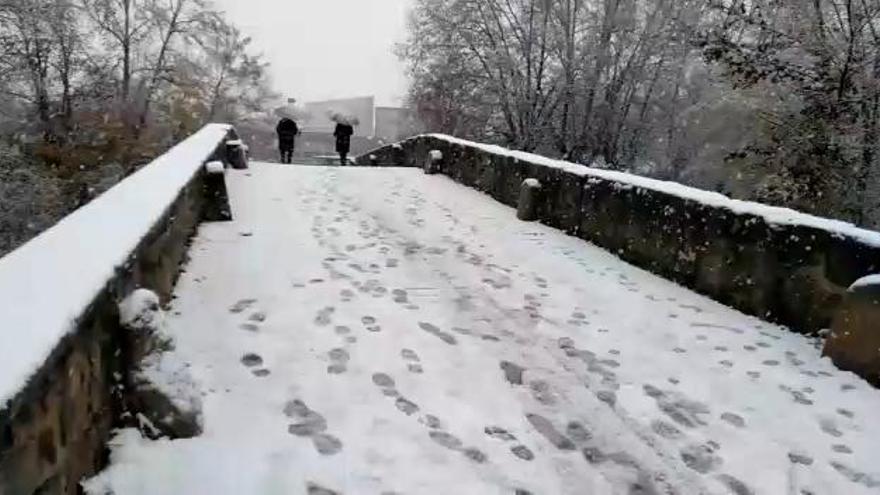 Nieve en Navarra