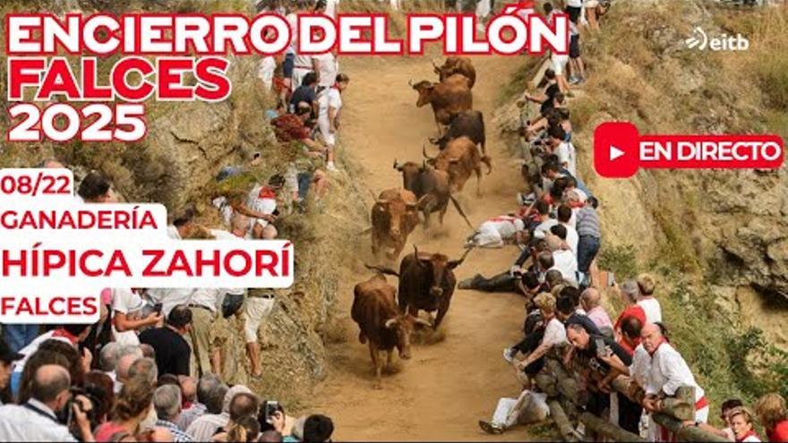 El sexto encierro del Pilón de Falces, en directo