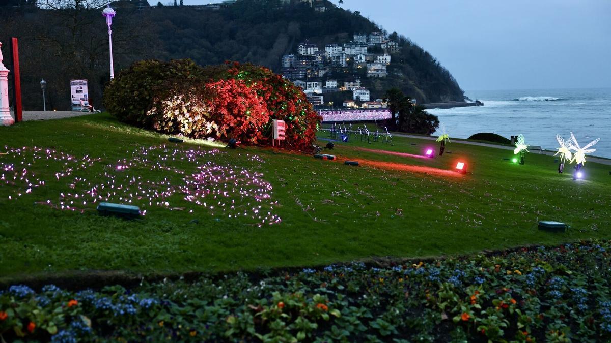 Insectos iluminados en el Palacio Miramar.