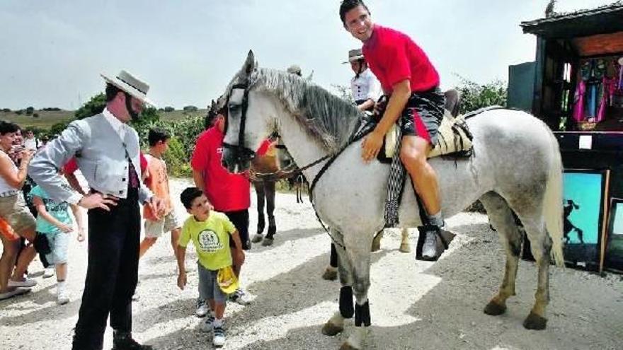 Toros y caballos como alternativa