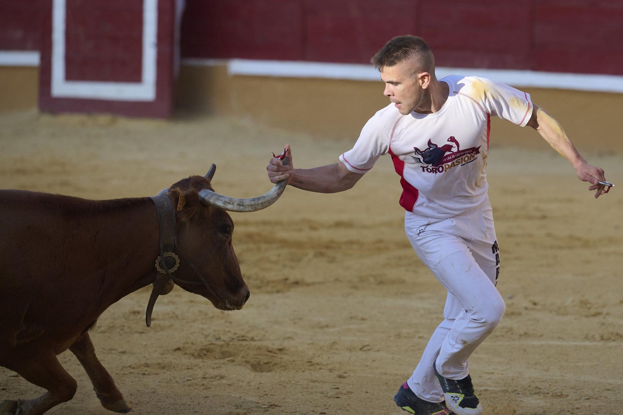 Concurso de recortadores con anillas