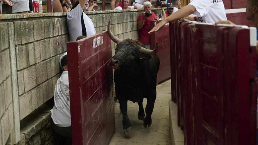 Concurso de recortadores de las fiestas de Tafalla