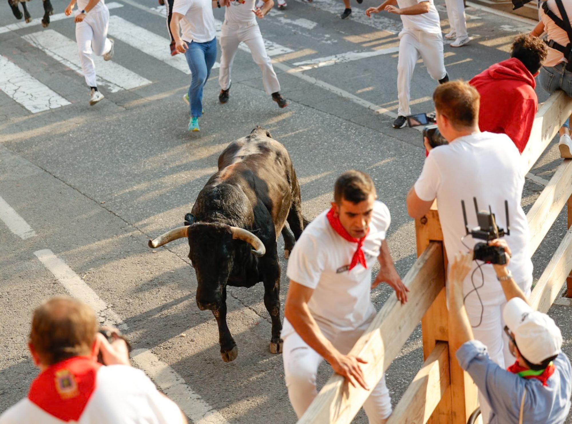 Fotos del primer encierro de fiestas de Tafalla