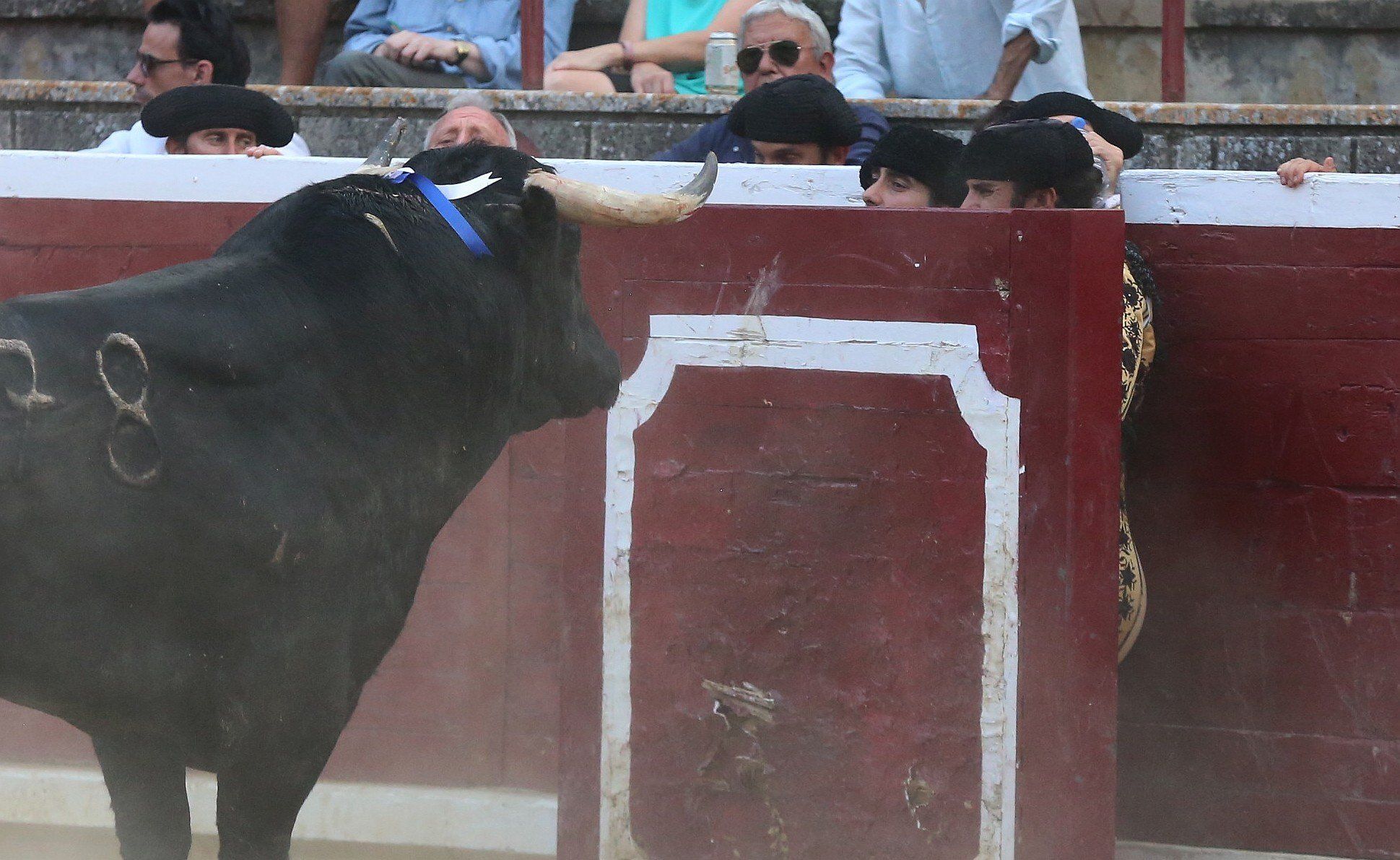 Fotos de la tercera corrida de toros de fiestas de Tafalla