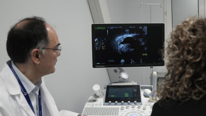 Elena Aguirre, paciente vizcaina de endometriosis: "Se ha normalizado el dolor y, lo que se convierte en costumbre, no se investiga"