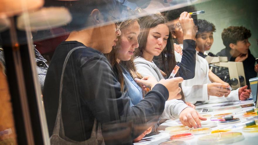 Ciencia e investigación para más de 200 estudiantes de Primaria