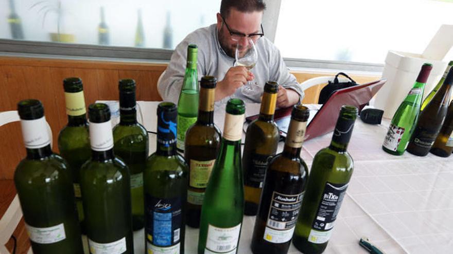 El txakoli, en la biblia de los vinos