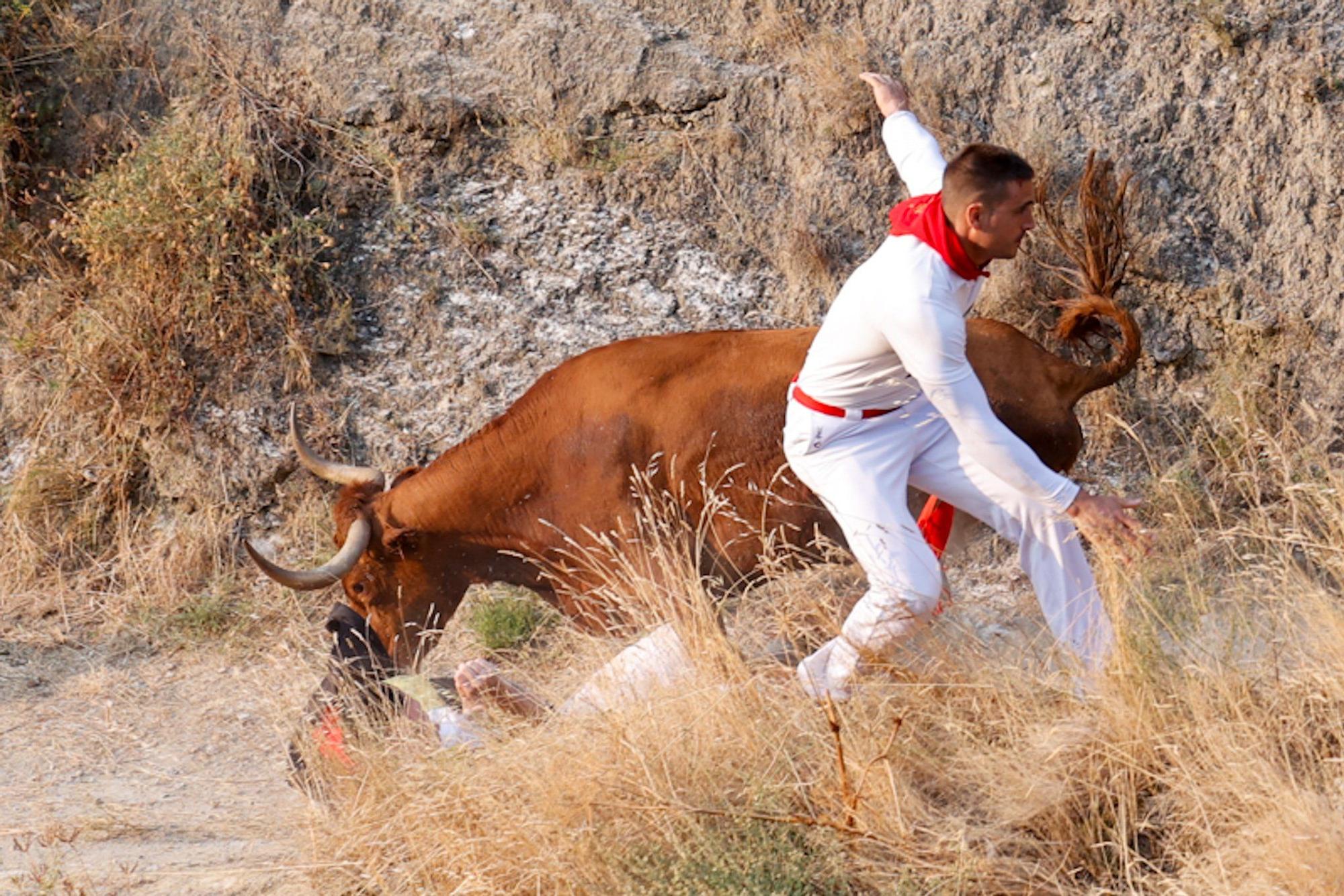 Fotos del cuarto encierro del Pilón de Falces 2025
