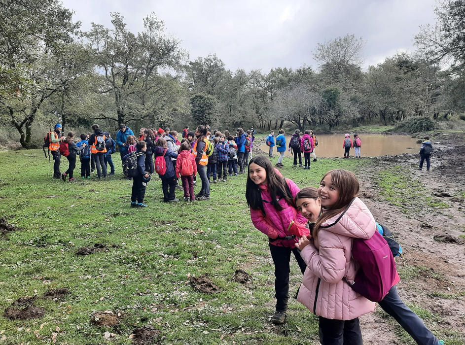 "Eskorieta mendian egon gara gaur, Arespaldiza her