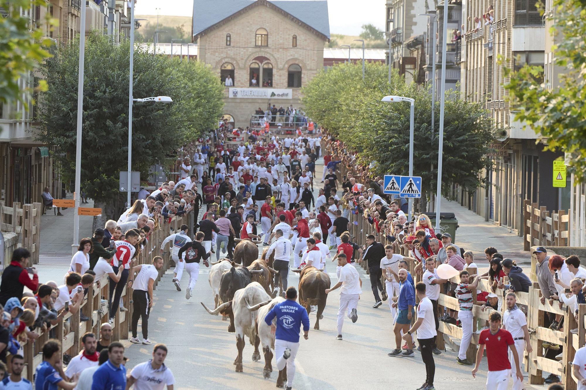 Fotos del sexto encierro de las fiestas de Tafalla 2025