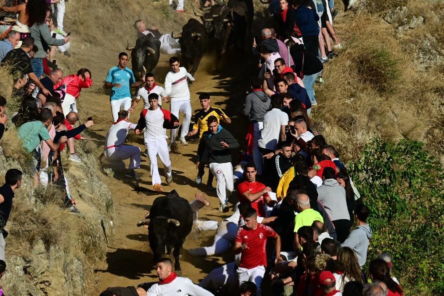 Fotos del penúltimo encierro del Pilón de Falces 2025