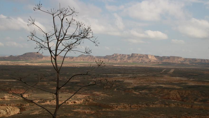 El Parlamento de Navarra rechaza posicionarse contra la renovación del contrato del polígono de tiro de Bardenas