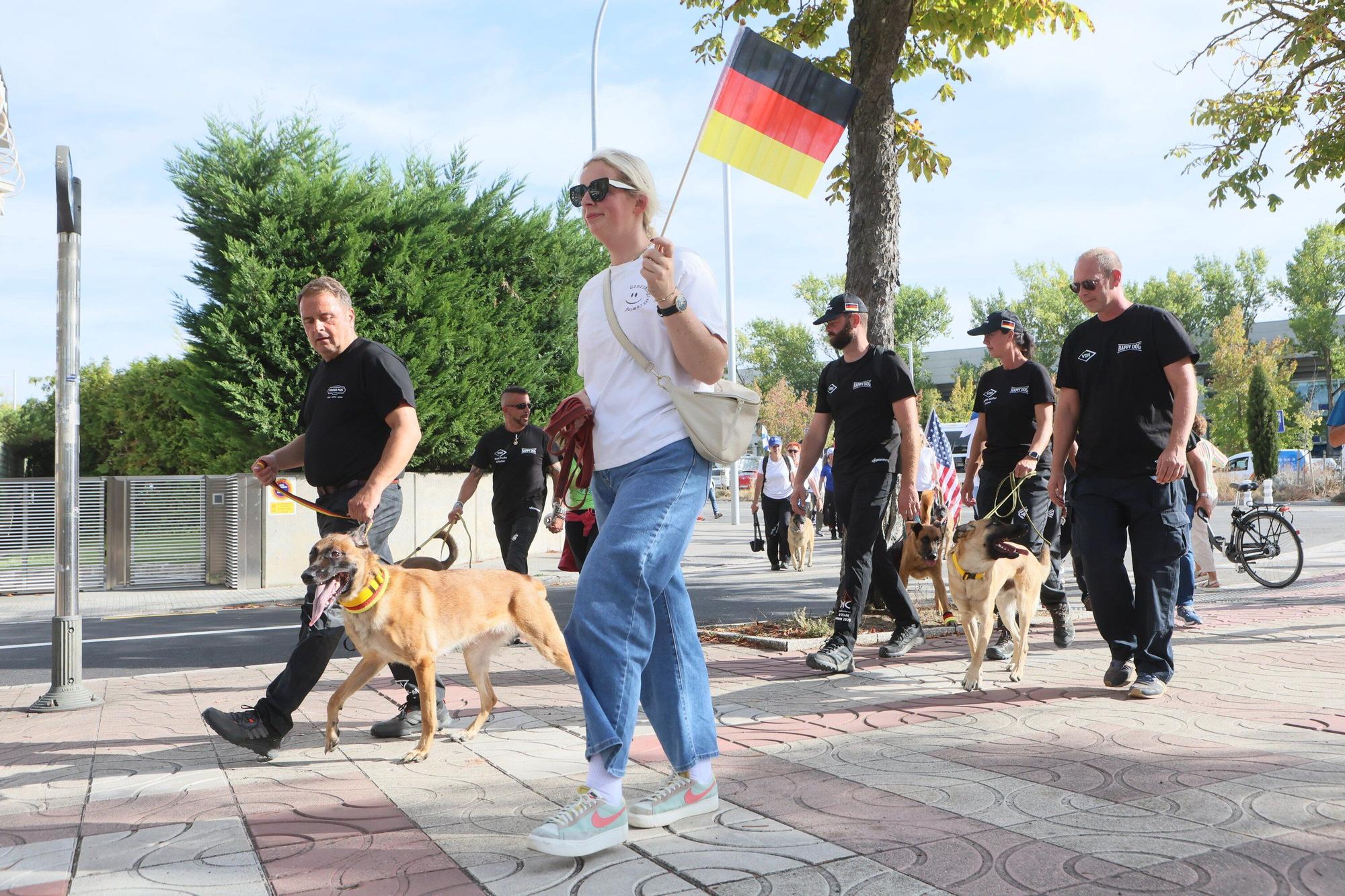 En imágenes: Perros de élite desfilan por Vitoria-Gasteiz por el 'Campeonato Mundial FCI-IGP'