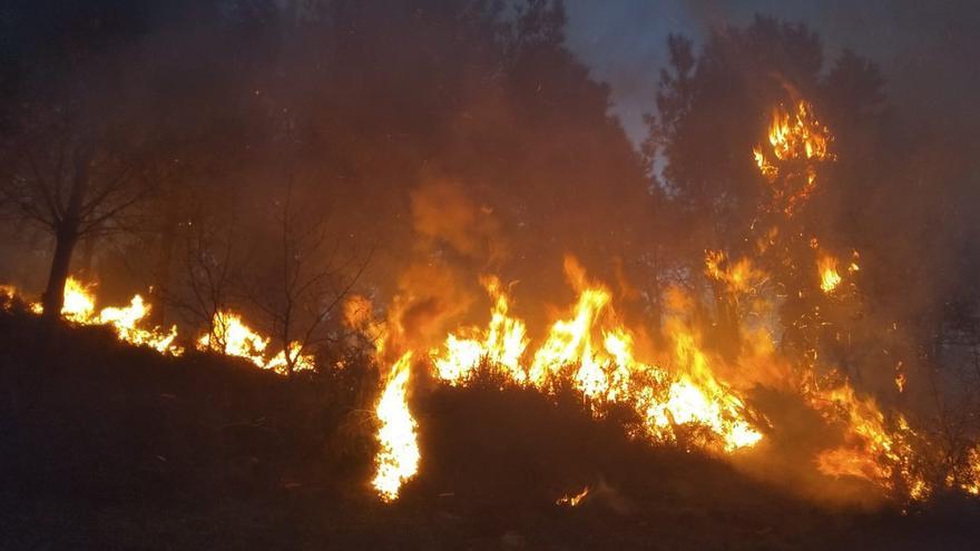 Otro año de emergencia climática