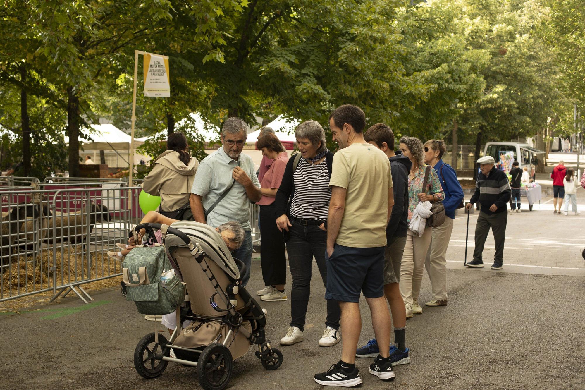 En imágenes: La Feria Agrícola de Santiago toma el Campus de Álava