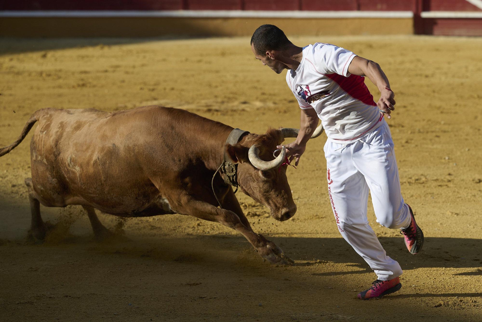 Concurso de recortadores con anillas