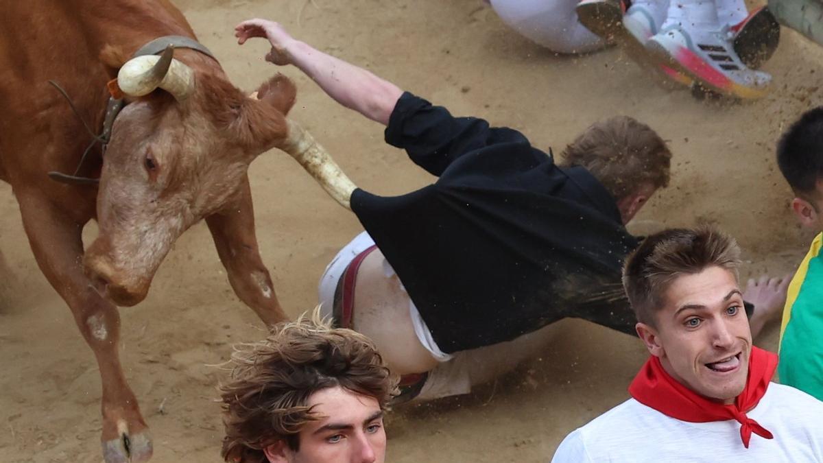 Fotos del quinto encierro del Pilón de Falces 2025 con vacas de Eulogio Mateo