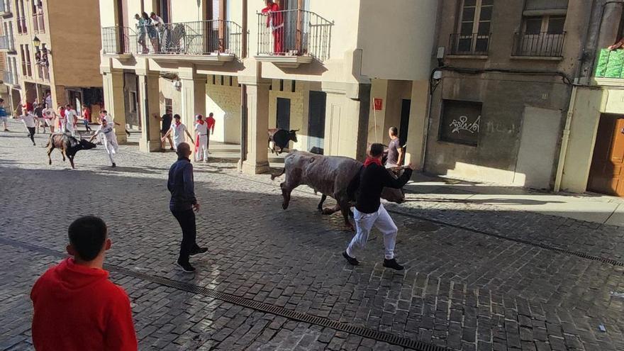 Encierros de fiestas de Estella: dos personas trasladadas a Urgencias por contusiones