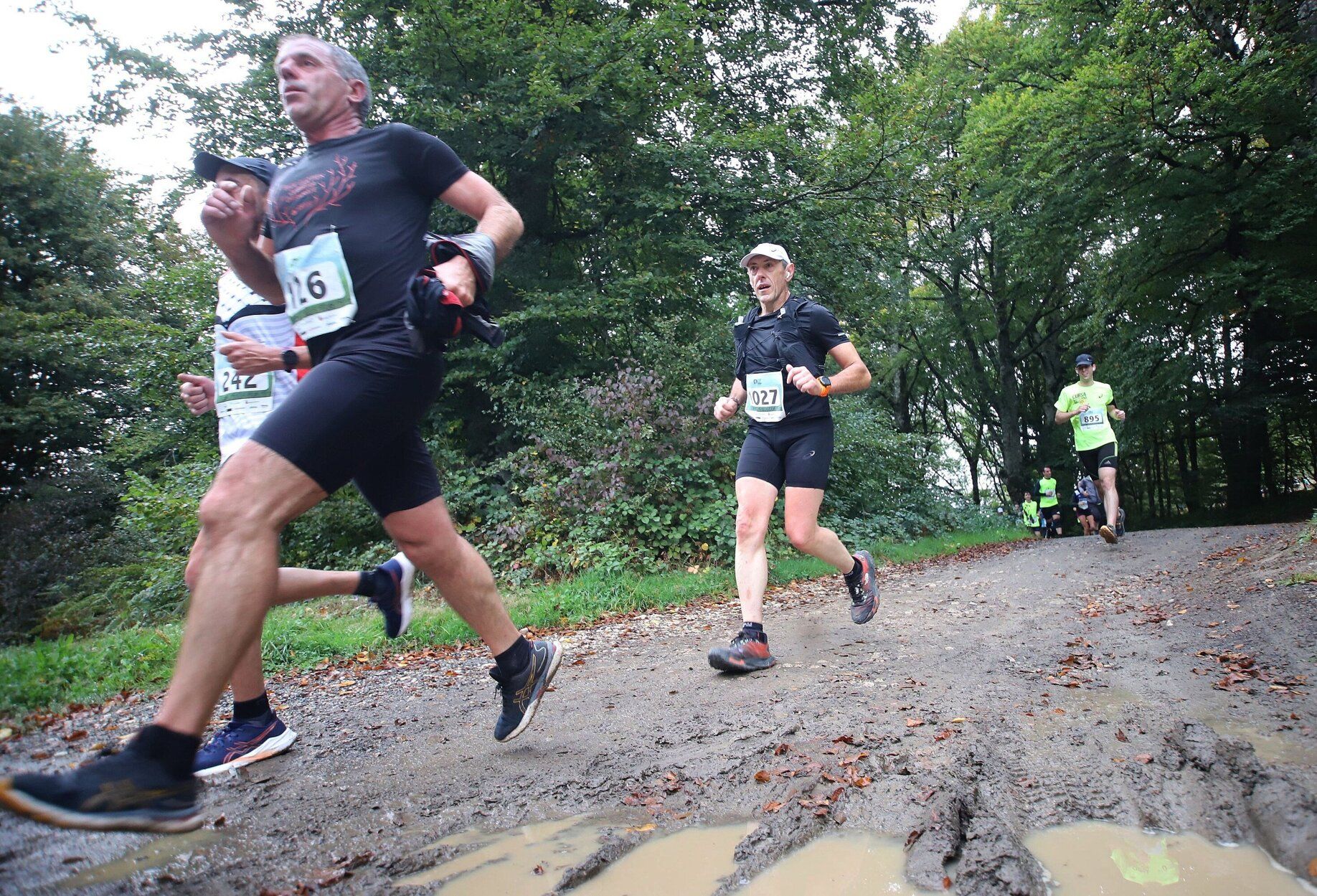 Fotos de la XVIII Media Maratón Roncesvalles-Zubiri