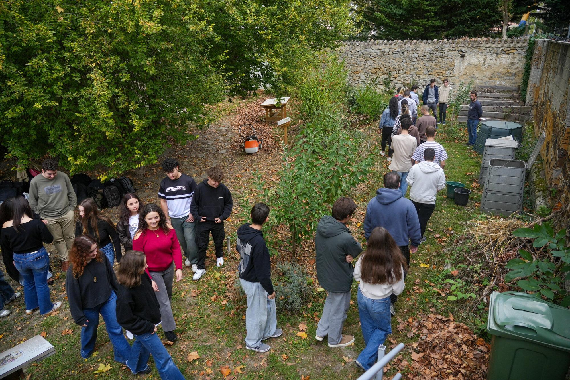 En imágenes: La UPV/EHU impulsa un curso de agricultura ecológica en el Campus de Álava