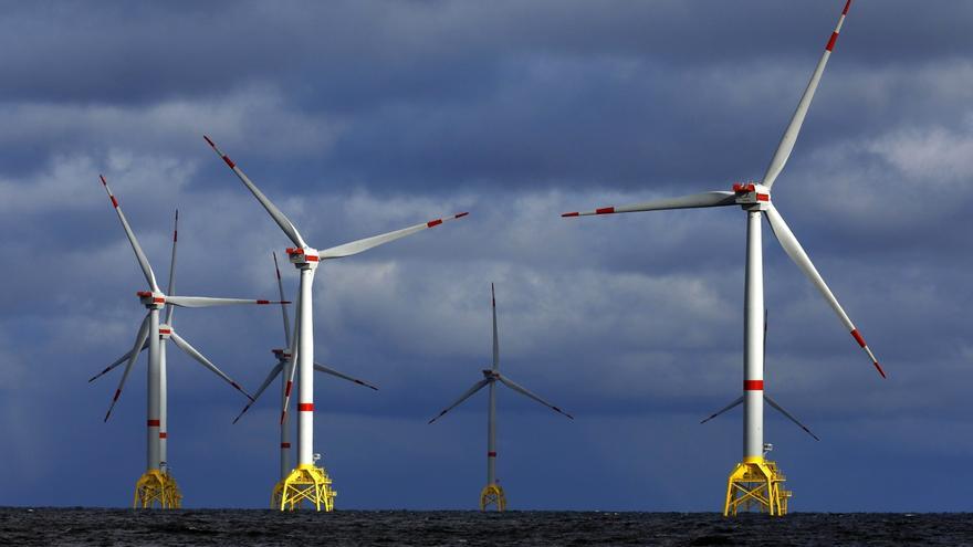 Planean parques eólicos en el mar que protejan la naturaleza