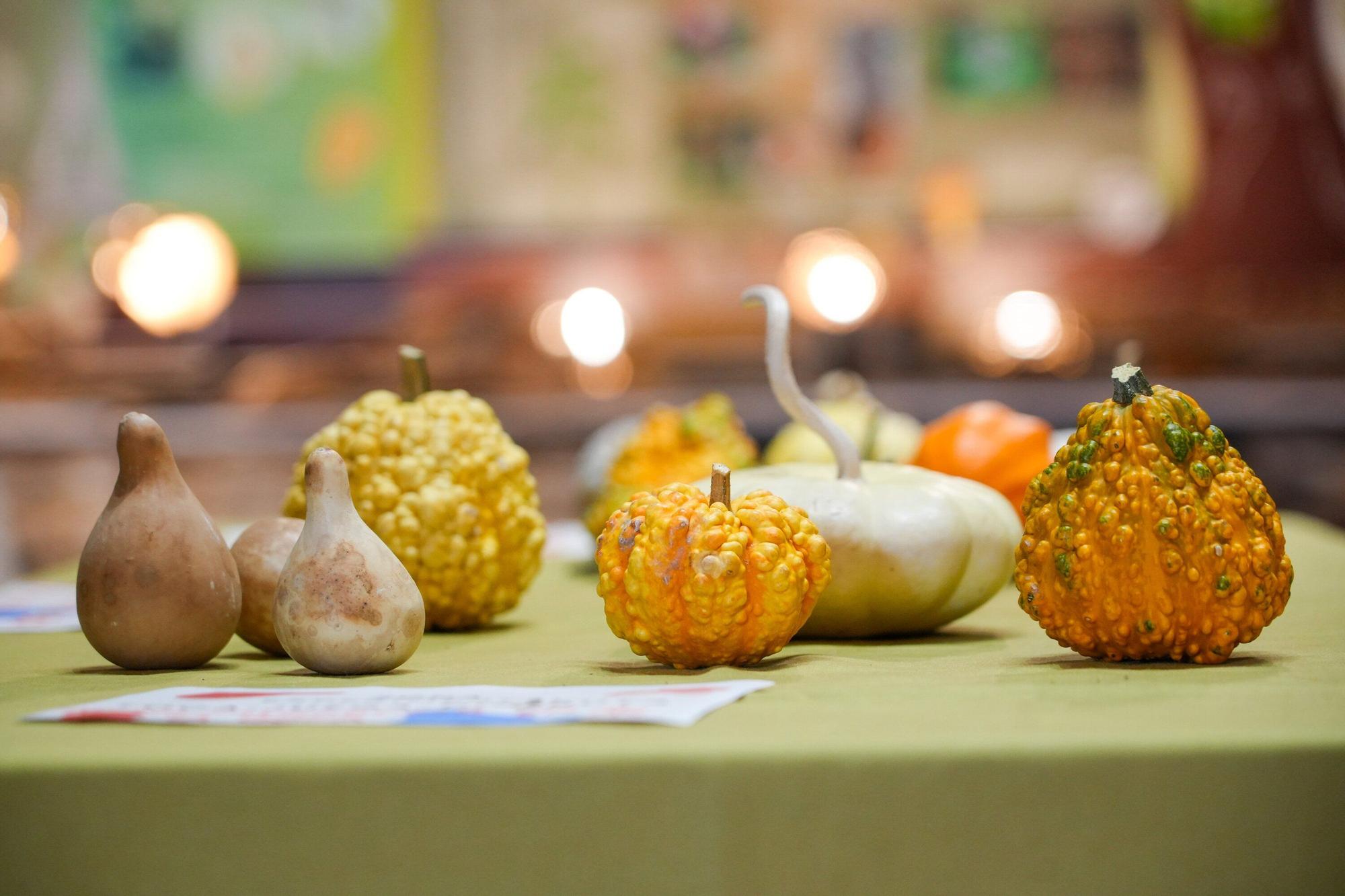 En imágenes: Exposición de calabazas en la Casa de la Dehesa