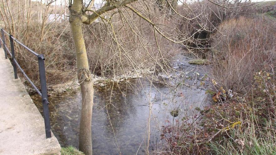 Peligro por los caudales ecológicos del río Ubagua